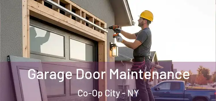 Garage Door Maintenance Co-Op City - NY