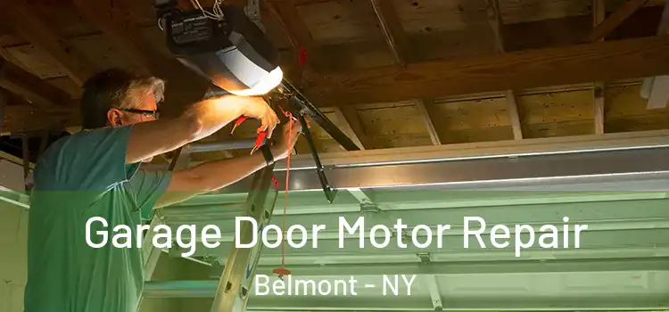  Garage Door Motor Repair Belmont - NY
