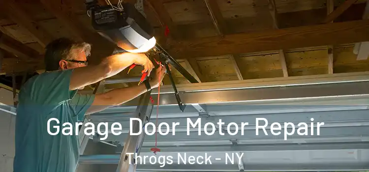  Garage Door Motor Repair Throgs Neck - NY