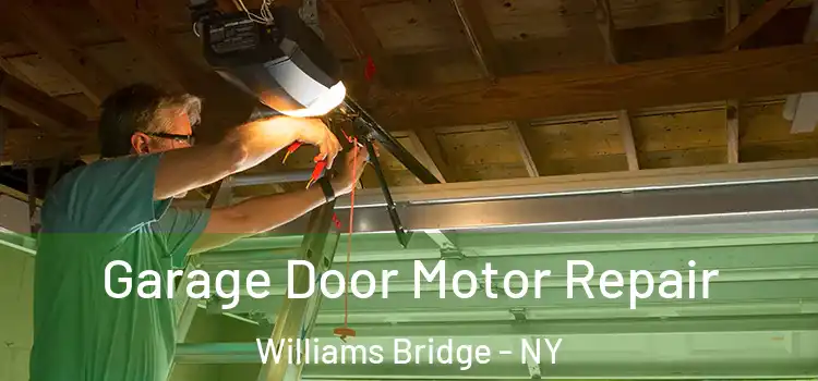  Garage Door Motor Repair Williams Bridge - NY