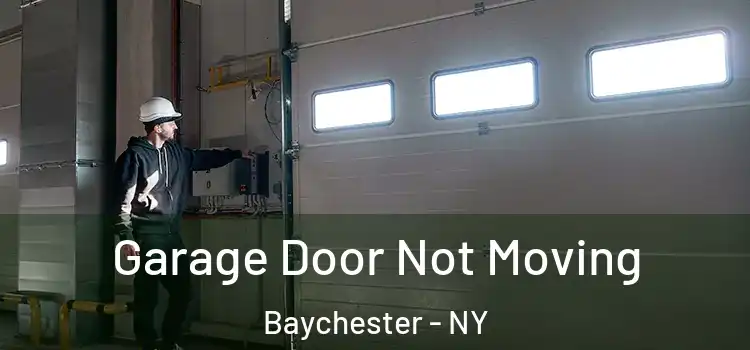  Garage Door Not Moving Baychester - NY