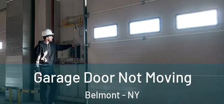  Garage Door Not Moving Belmont - NY