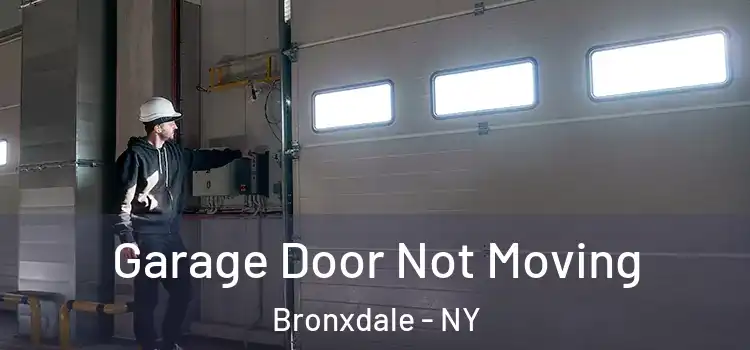  Garage Door Not Moving Bronxdale - NY