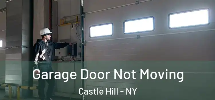  Garage Door Not Moving Castle Hill - NY