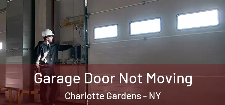  Garage Door Not Moving Charlotte Gardens - NY