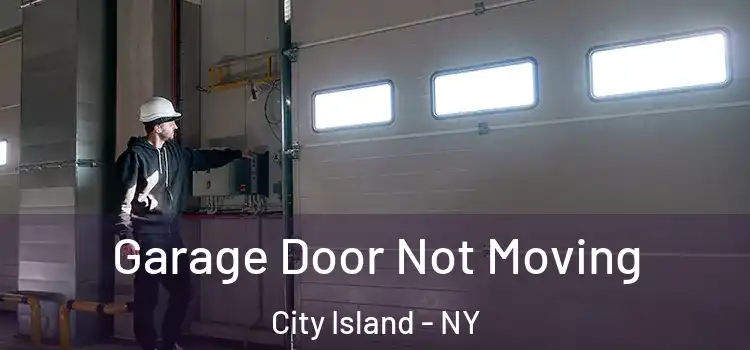  Garage Door Not Moving City Island - NY