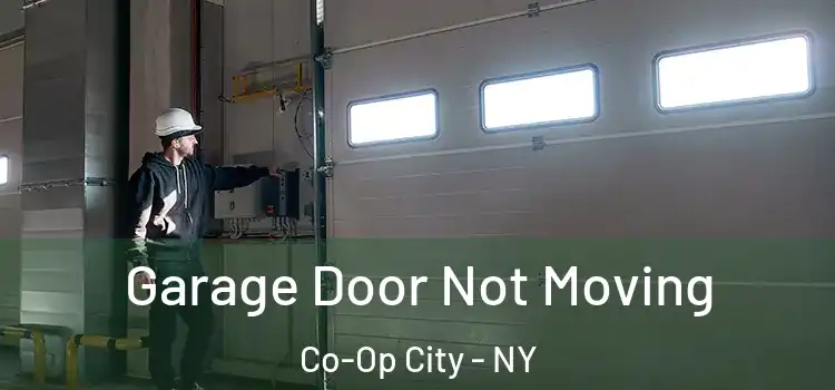  Garage Door Not Moving Co-Op City - NY