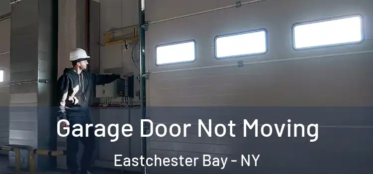  Garage Door Not Moving Eastchester Bay - NY