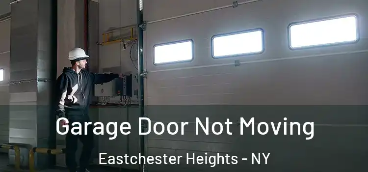  Garage Door Not Moving Eastchester Heights - NY