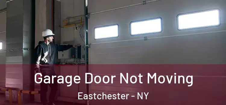  Garage Door Not Moving Eastchester - NY