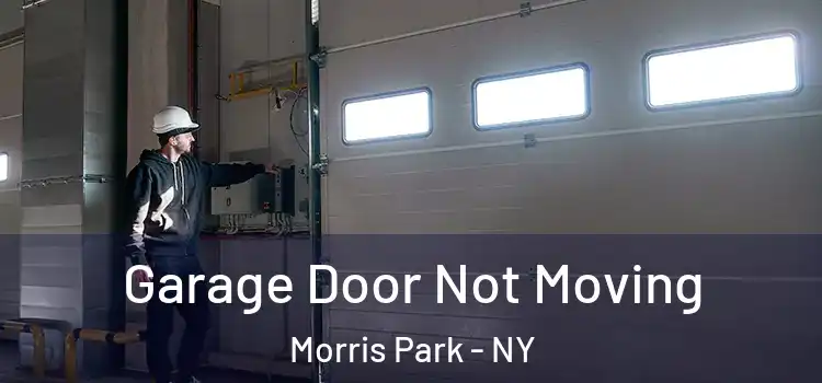  Garage Door Not Moving Morris Park - NY