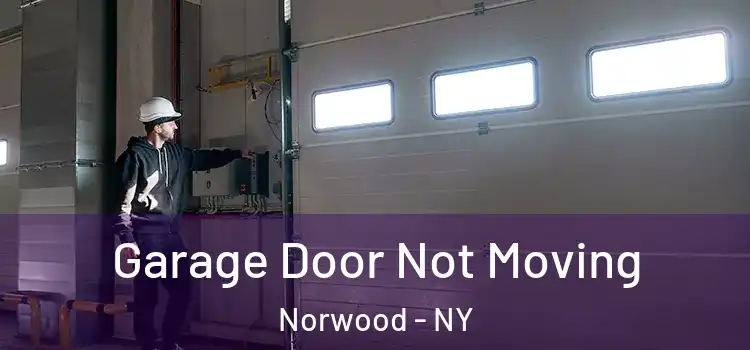  Garage Door Not Moving Norwood - NY