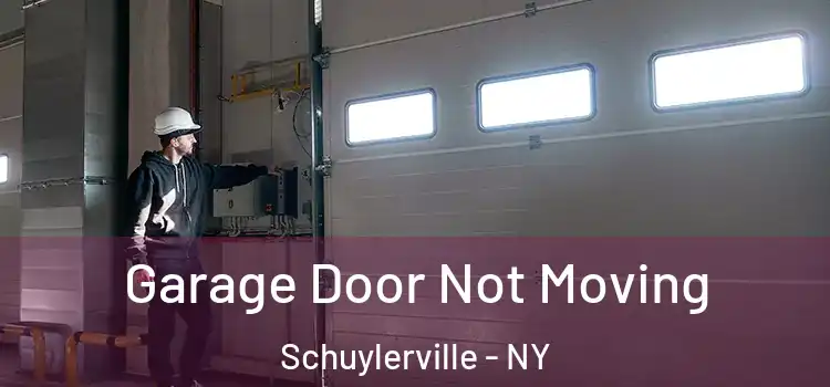  Garage Door Not Moving Schuylerville - NY