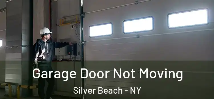  Garage Door Not Moving Silver Beach - NY