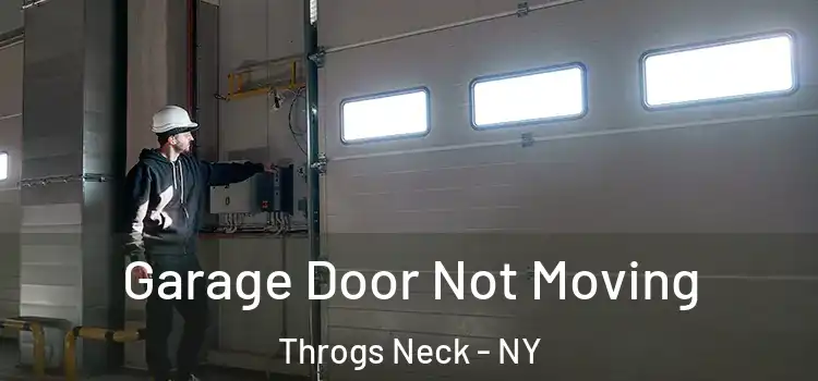  Garage Door Not Moving Throgs Neck - NY