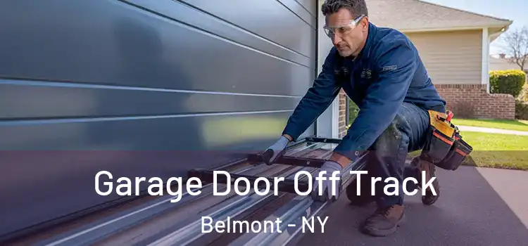  Garage Door Off Track Belmont - NY