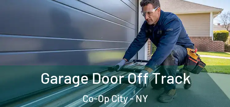  Garage Door Off Track Co-Op City - NY