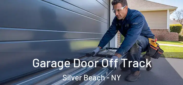  Garage Door Off Track Silver Beach - NY