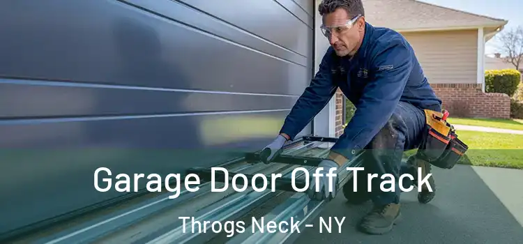  Garage Door Off Track Throgs Neck - NY