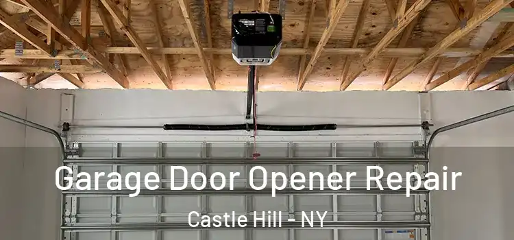  Garage Door Opener Repair Castle Hill - NY
