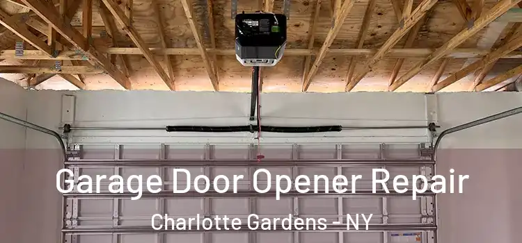  Garage Door Opener Repair Charlotte Gardens - NY