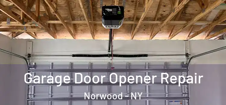  Garage Door Opener Repair Norwood - NY