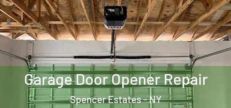  Garage Door Opener Repair Spencer Estates - NY