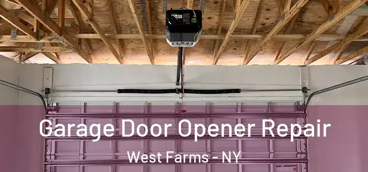  Garage Door Opener Repair West Farms - NY