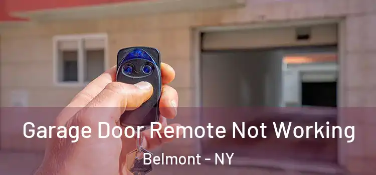  Garage Door Remote Not Working Belmont - NY