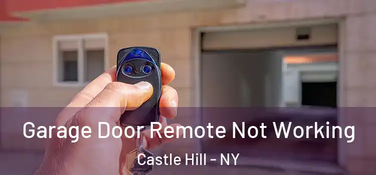  Garage Door Remote Not Working Castle Hill - NY