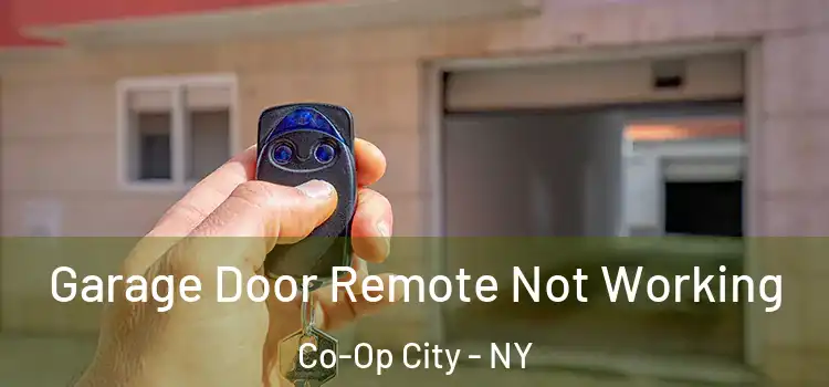  Garage Door Remote Not Working Co-Op City - NY