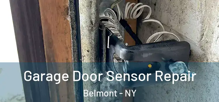 Garage Door Sensor Repair Belmont - NY