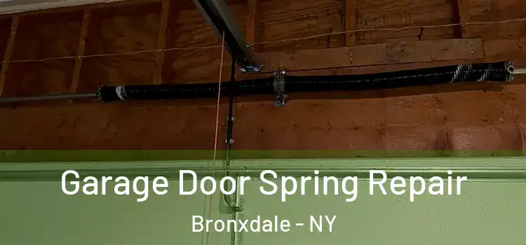  Garage Door Spring Repair Bronxdale - NY