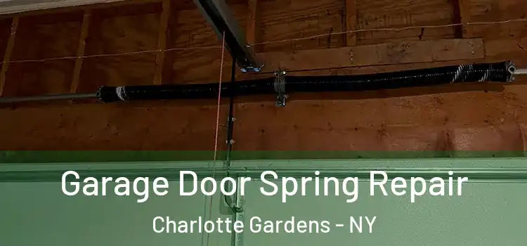  Garage Door Spring Repair Charlotte Gardens - NY