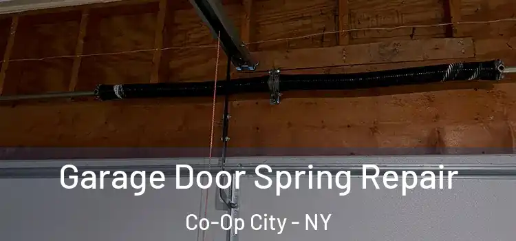  Garage Door Spring Repair Co-Op City - NY