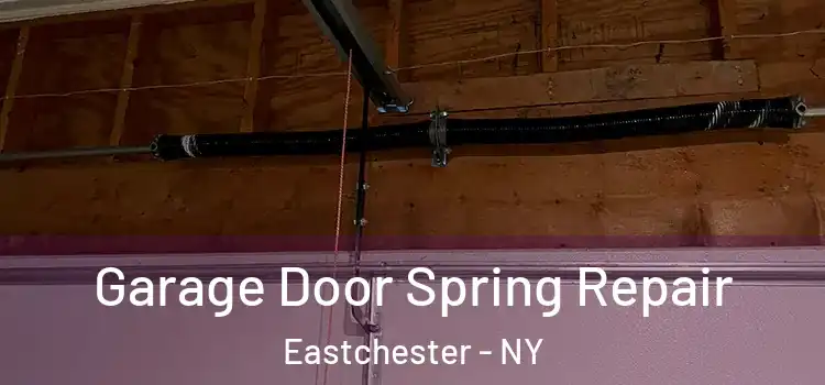  Garage Door Spring Repair Eastchester - NY
