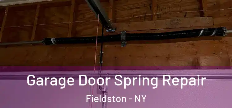  Garage Door Spring Repair Fieldston - NY