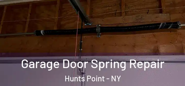  Garage Door Spring Repair Hunts Point - NY