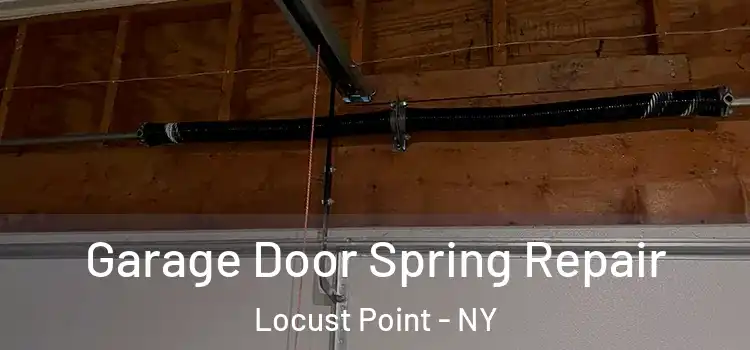  Garage Door Spring Repair Locust Point - NY