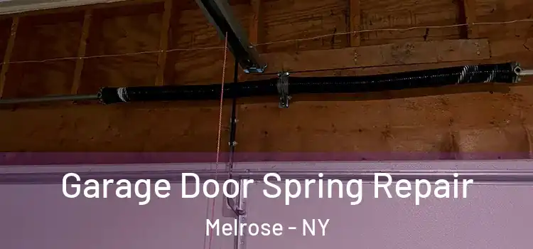  Garage Door Spring Repair Melrose - NY