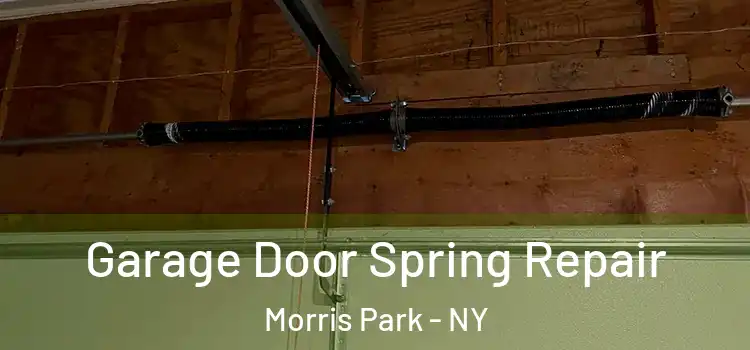  Garage Door Spring Repair Morris Park - NY