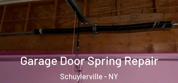  Garage Door Spring Repair Schuylerville - NY