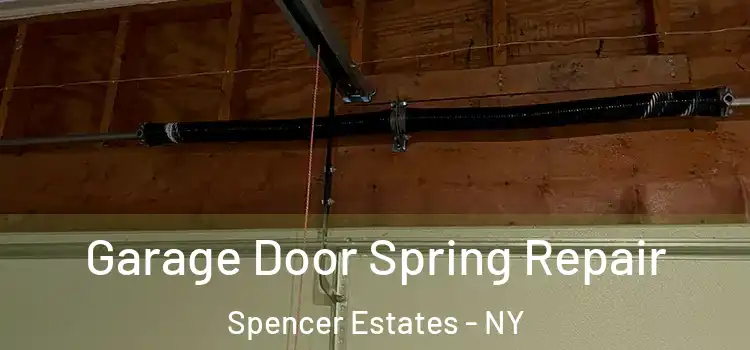  Garage Door Spring Repair Spencer Estates - NY