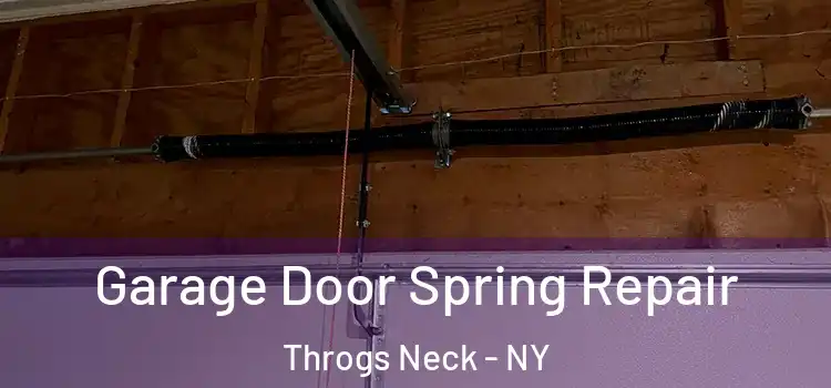 Garage Door Spring Repair Throgs Neck - NY