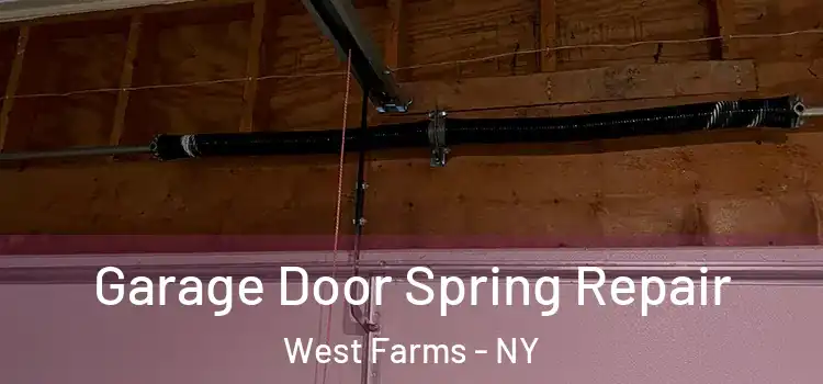  Garage Door Spring Repair West Farms - NY