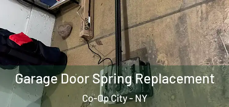  Garage Door Spring Replacement Co-Op City - NY