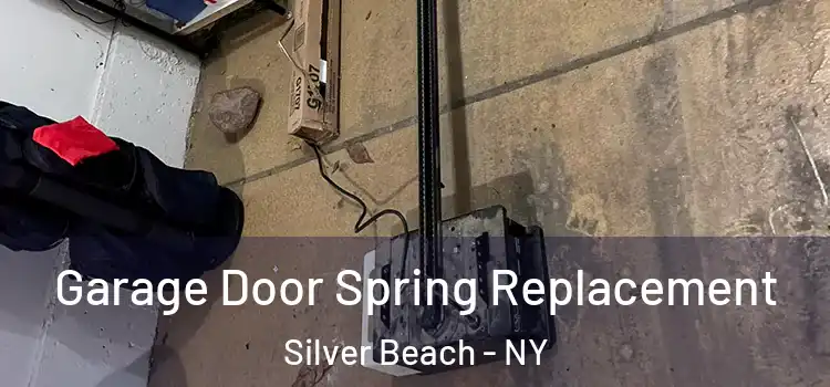  Garage Door Spring Replacement Silver Beach - NY