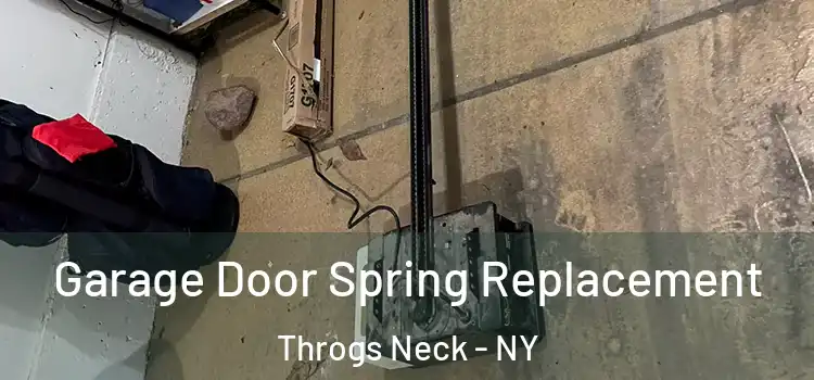  Garage Door Spring Replacement Throgs Neck - NY