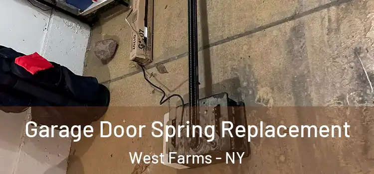  Garage Door Spring Replacement West Farms - NY