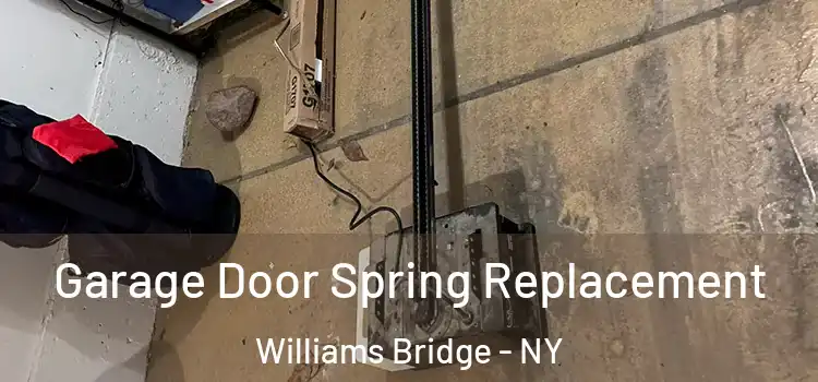  Garage Door Spring Replacement Williams Bridge - NY